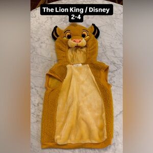 Lion King Simba Costume for Kids